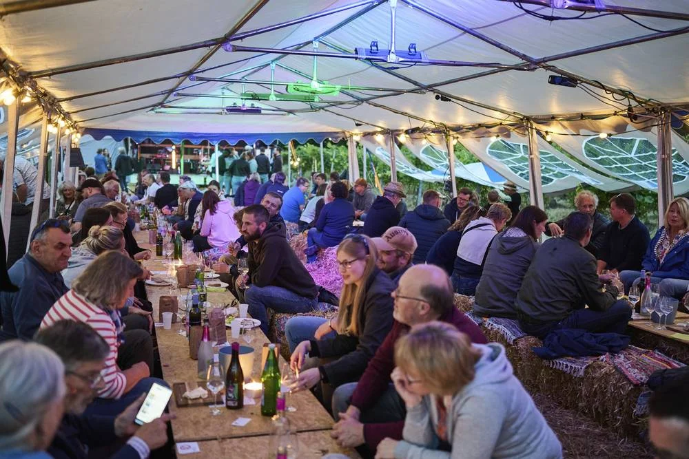 Abendliches Weingarten-Event mit Bühne und Beleuchtung
